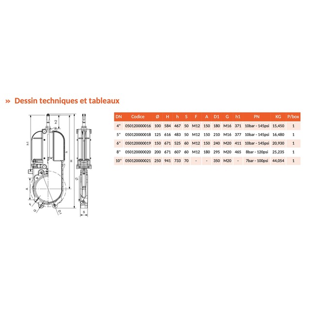 Vanne Fonte GLADIO-RIV120 2BRIDES PN10 4'